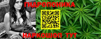 СК Обь