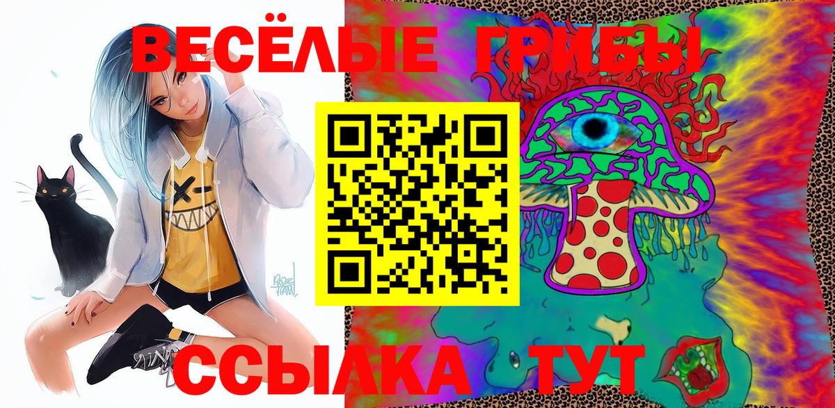 Осинники  Галлюциногенные грибы MAGIC MUSHROOMS  Вход с VPN 