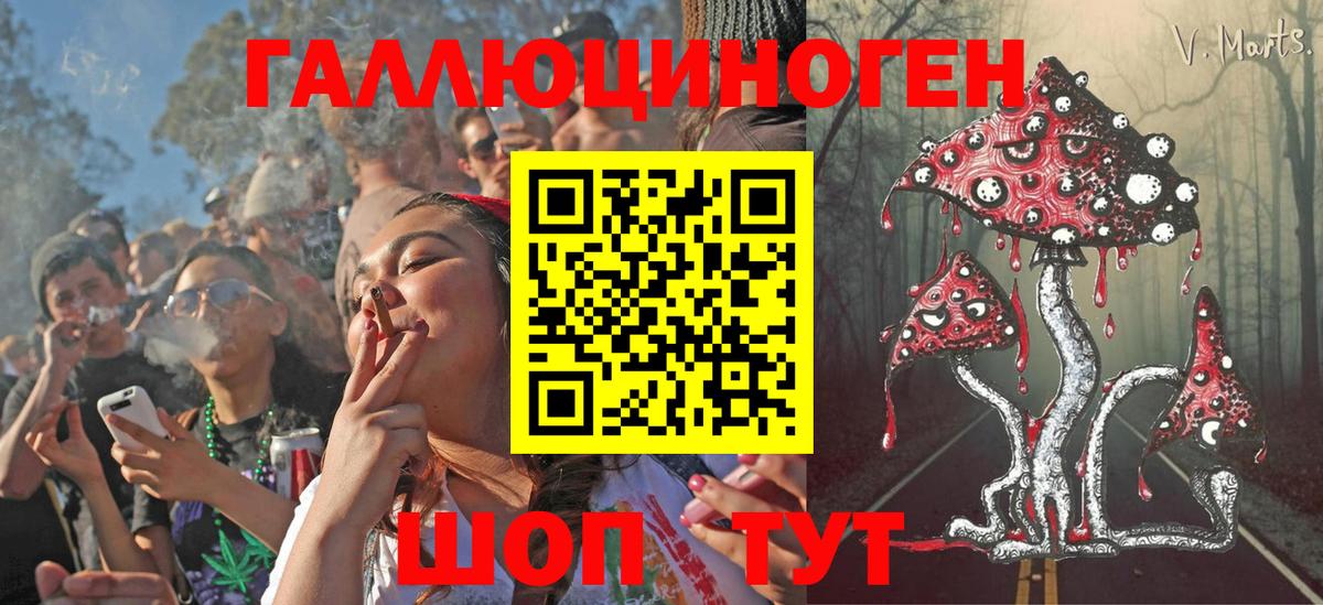 Псилоцибиновые грибы мухоморы Осинники